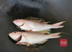 香煎红杉鱼的做法图解3