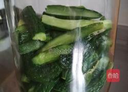 油焖黄瓜的做法图解7