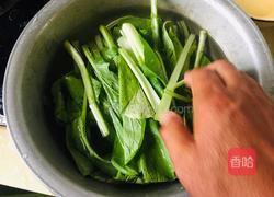 小白菜拌粉丝的做法图解3