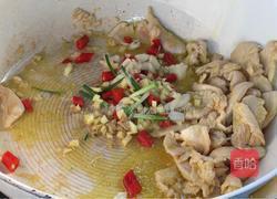 小炒鸡肉的做法图解5