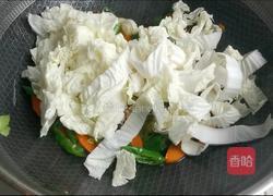 胡萝卜白菜粉条的做法图解5