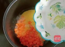 鸡肉小米萝卜粥的做法图解6