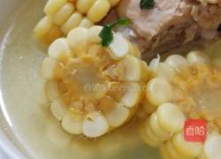 玉米猪骨汤的做法图解7