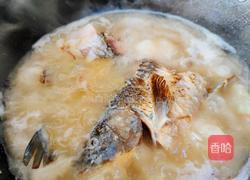 鲫鱼白玉汤的做法图解4