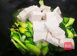 小油菜炖豆腐的做法图解4