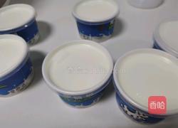 酸奶的做法图解4