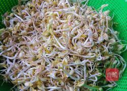 自芽豆芽菜的做法图解4