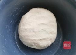 韭菜鸡蛋木耳蒸饺的做法图解3