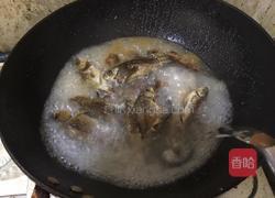 野生鲫鱼冬瓜汤的做法图解5