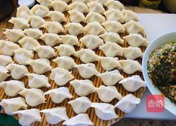 韭菜苔大肉水饺的做法图解11
