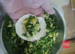 雪花小麦粉素饺子的做法图解9