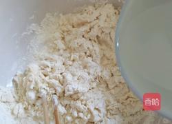 甘蓝猪肉蒸包的做法图解4