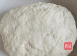 南瓜猪肉水饺的做法图解5