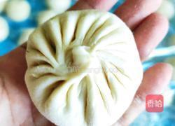 牛心菜包子的做法图解6