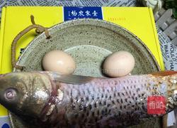 鲤鱼蒸蛋的做法图解1