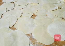虾肉饺子的做法图解6