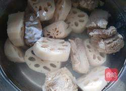 莲藕排骨汤的做法图解4