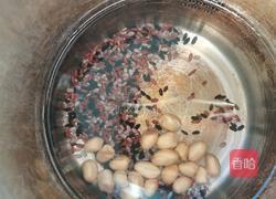 三色糙米花生豆浆的做法图解4