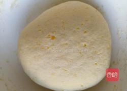 迷你生煎包（大米肉馅）的做法图解3