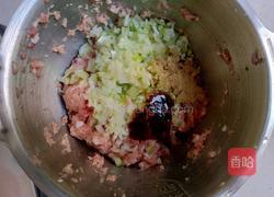 青萝卜肉丸的做法图解5