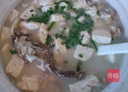 砂锅鲫鱼蘑菇豆腐汤的做法图解9