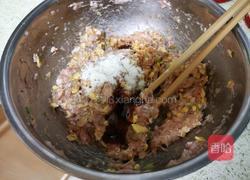 鲜肉大虾饺子的做法图解15