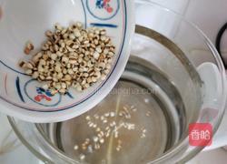 腐竹薏米糖水的做法图解4