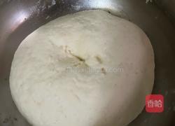小猪盖被的做法图解1