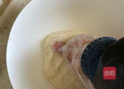 电饼铛烧饼的做法图解5