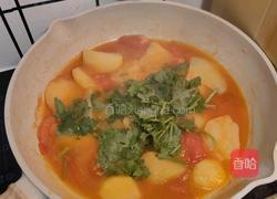 土豆炖番茄的做法图解5
