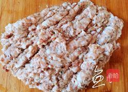 猪肉荠菜水饺的做法图解4