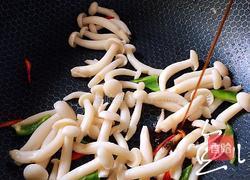 白玉菇炒鸡蛋的做法图解12