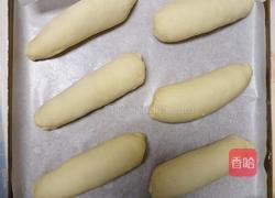 肉松面包的做法图解13