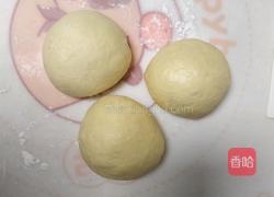 北海道巨蛋吐司（百分百中种)的做法图解10