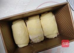 北海道巨蛋吐司（百分百中种)的做法图解15