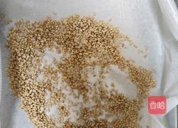 蜂蜜脆皮小面包（28方盘波兰种）的做法图解12