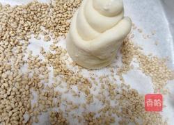 蜂蜜脆皮小面包（28方盘波兰种）的做法图解22