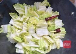 白菜炖豆腐的做法图解6