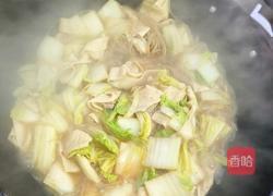 白菜炖豆腐的做法图解7