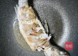 干烧鲈鱼的做法图解4