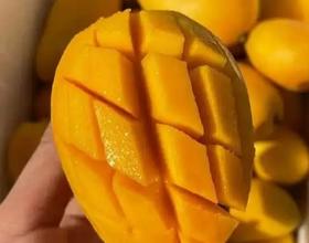 打卡[图]