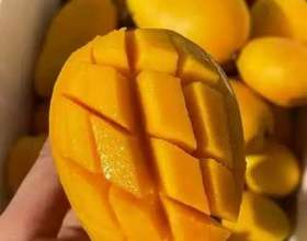 好吧[图]