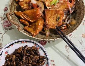 打卡[图]