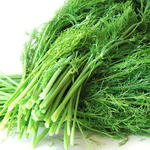 茴香的做法 茴香的做法大全 茴香怎么做好吃 香哈网